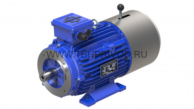 Электродвигатель MSEJ 100L-2 Арт. TH149945 Электродвигатель MSEJ 100L-2 Арт. TH149945