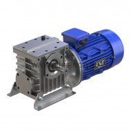 Мотор-редуктор 2МЧ-40-22-4