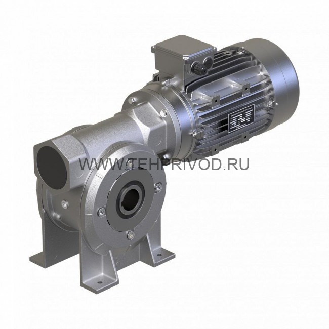Мотор-редуктор MRT30-A-0,06 арт. TH123814
