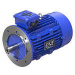 Электродвигатели общепромышленного назначения (DIN  CENELEC)