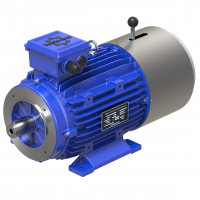 Электродвигатели с тормозом MSEJ 100L